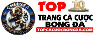 Trang cá cược bóng đá