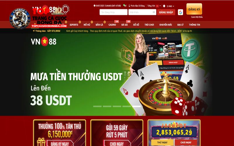 Những thành quả đạt được suốt thời gian hoạt động của VN88 Những thành quả đạt được suốt thời gian hoạt động của VN88