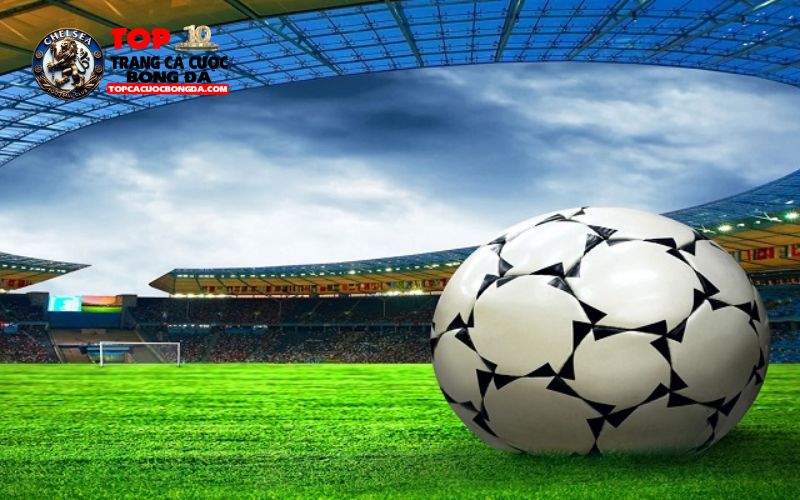 Định nghĩa, khái niệm cơ bản để bạn hiểu rõ cơ hội kép là gì?
