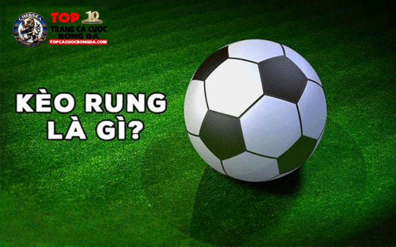 Kèo rung là gì? Giới thiệu các loại kèo rung phổ biến