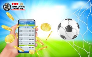 Tổng Hợp Những Trang Cá Độ Bóng Đá Hợp Pháp Và An Toàn